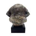 Bronze Hund Statue 12 "Bernhardiner"