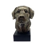Bronze Hund Statue 20 "Labrador Retriever"