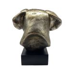 Bronze Hund Statue 10 "Rhodesian Ridgeback"